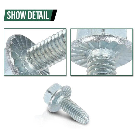 Close-up of License Plate Screws For American Cars Rock Solid Size Fourteen By Three Quarters Inch With Hex Phillips Flat Slotted Combo