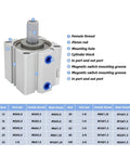 Compact Dual Rod Pneumatic Cylinder Built Tough For Rock Solid Stability And Zero Wobble During Smooth Clamping Moves Alongside Heavy Duty Push Pull Work In Cramped Workspaces with detailed labeling.