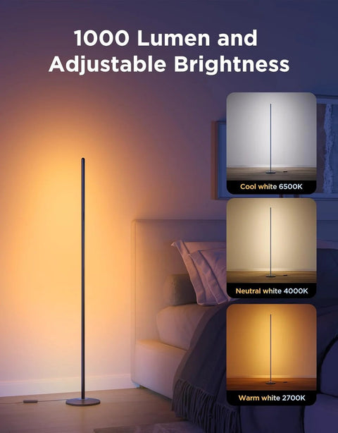 Govee RGBIC floor lamp basic, 1000 lm LED standing lamp with adjustable brightness and cool/neutral/warm white options