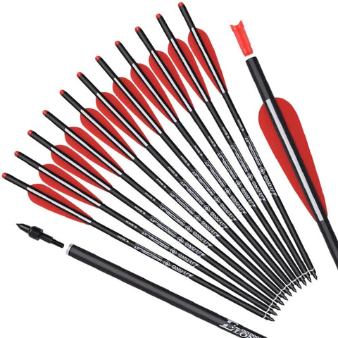 12-pack of 20 Inch Carbon Crossbow Bolts For Hunting, Beginner And Youth Friendly Arrows With 4 Inch Vanes visible in parallel layout