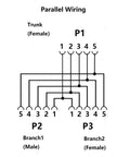 Diagram of M12 A-Coded 5-Pin Female To Dual 5-Pin Female Y-Splitter Cable wiring, showing parallel connections from P1 to P2 and P3.