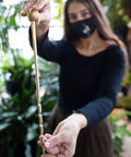Unlimited Brass Soil Probe With Moisture Meter And Sampler No Batteries Required Root Aerator And Plant Water Monitor For Pots And Indoor Gardens For Potted Plants And Home Gardeners brass probe held over indoor plants