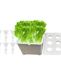 Six Hole Hydroponics Grow Box Kit For Indoor Outdoor Garden Soilless Cultivation System With Root Friendly Design Heavy Duty PP. 