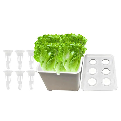 Six Hole Hydroponics Grow Box Kit For Indoor Outdoor Garden Soilless Cultivation System With Root Friendly Design Heavy Duty PP. 