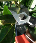 7 Inch Bypass Pruners For Precise Smooth Cuts With Easy Grip And One Hand Locking cutting plant stem