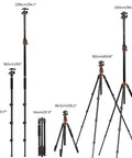 Ultra High 90 Inch Camera Tripod Kit with Flexible Legs, Patent Gimbal, various heights shown from 54cm to 239cm