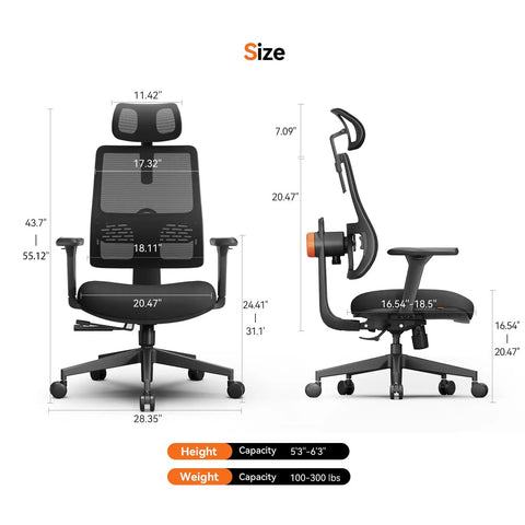 Front and side view of Ergonomic Office Chair With Auto Following Lumbar Support, Adjustable Headrest, and seat dimensions.