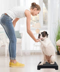 Portable Dog Training Platform with Non Skid Surface for Small Dogs 17 Inch by 13 Inch by 3.14 Inch Durable Dog Agility Stand in use