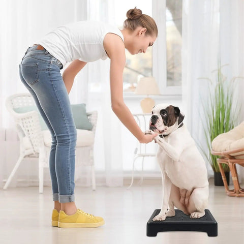 Portable Dog Training Platform with Non Skid Surface for Small Dogs 17 Inch by 13 Inch by 3.14 Inch Durable Dog Agility Stand in use