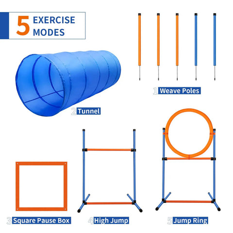 Image of Go-To Dog Agility Training Equipment Kit showing tunnel, weave poles, square pause box, high jump, and jump ring.