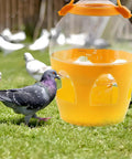 2L Water Dispenser Feeder With Handle For Pigeons, Poultry, Parrot, Duck Or Chicken, Built Tough Orange Plastic Water Pot