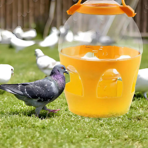 2L Water Dispenser Feeder With Handle For Pigeons, Poultry, Parrot, Duck Or Chicken, Built Tough Orange Plastic Water Pot
