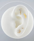 Top Shelf 16G Flower Cartilage Piercing Jewelry In ASTM F136 Titanium Hypoallergenic Flat Back Studs For Helix Conch Tragus And Lobe Screw On Nickel Free Earrings For Women displayed on an ear model.
