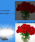 Comparison of roses with and without Ultra Bright Waterproof Dimmable Underwater LED Light for GoPro Hero and DJI Osmo Action.