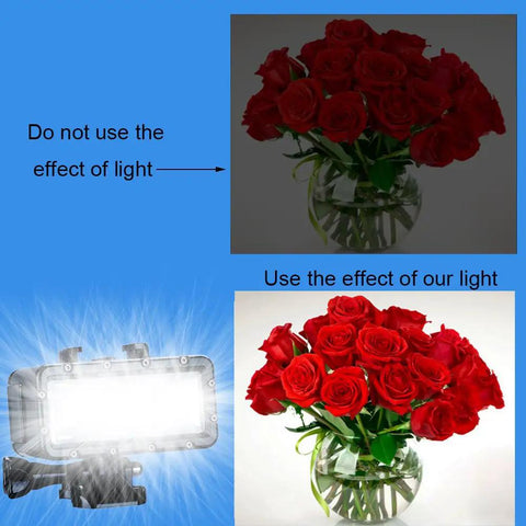 Comparison of roses with and without Ultra Bright Waterproof Dimmable Underwater LED Light for GoPro Hero and DJI Osmo Action.