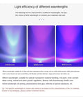 Light efficiency characteristics of 365nm, 395nm, and 405nm wavelengths for Beast Mode Led Uv Curing Lamp.