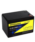 12V 20Ah LiFePO4 Deep Cycle Battery With 4000 Cycles Built In 40A BMS Screw Terminals Lightweight Rechargeable Power Pack