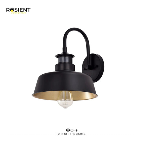 Motion Sensor Gooseneck Barn Lights Outdoor Wall Mount Porch Lights Industrial Farmhouse Sconces Black Finish Exterior