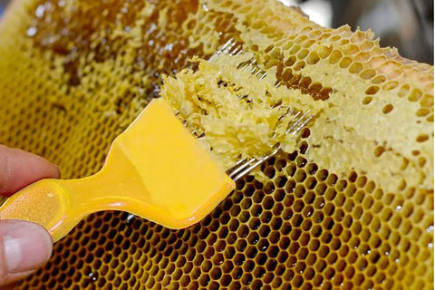 Beekeeping Uncapping Fork With 21 Stainless Steel Tines For Honeycomb Decapping, Pro Grade Bee Tool, Plastic Yellow Handle in use
