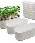 Five Pack White Herb Planter Boxes With Drip Trays Eight Point Five Inch Small Oval Window Planters For Kitchen Sill