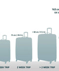 DELSEY PARIS Chatelet Hard+ luggage illustration with spinner wheels and four size silhouettes.