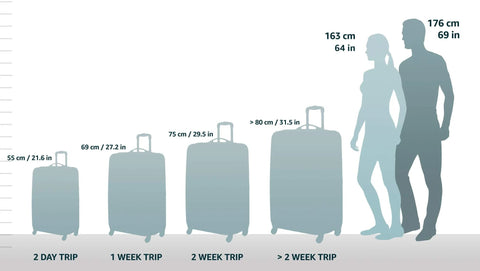 DELSEY PARIS Chatelet Hard+ luggage illustration with spinner wheels and four size silhouettes.