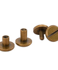 Premium Slick Heavy Duty 10 Pack 1/4 Inch Chicago Screws Brass Quick Detach Rivet Fasteners, showing three brass fasteners and threaded posts.
