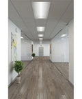 Emergency APC7R Combo Unit LED Exit Sign with Dual Lights in hallway with modern decor, showing red letters and damp location suitability.