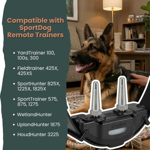 1 Inch Replacement Prongs Set Of 2 Stainless Steel Probes For Remote Training Collars in use on German Shepherd