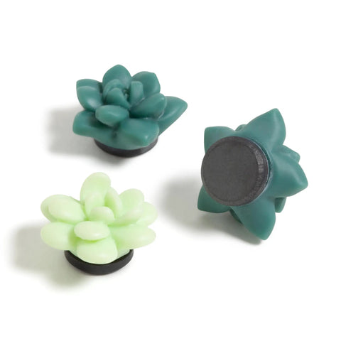Three green and mint succulent magnets from the Succulent Garden Office Accessory Kit With Sticky Note Pad, Gold Paper Clips, Sphere Push Pins, Succulent Magnets And Binder Clips To Elevate Your Desk Setup, Boost Productivity And Flaunt Your Desk Vibe