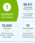 Infographic showing Premium Shower Filter System With Deluxe Adjustable Wand, 2.5 GPM Flow, 96.6% chlorine removal, NSF certified.