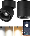 Dimmable LED Ceiling Spotlight With 360 Degree Swivel And Surface Mount, 10W COB Downlight, Stepless Warm To Cool White 3000K-6000K, Indoor Black Finish, No Brainer Install For Living Room Or Hallway, Easy Install with smartphone control and light variations.