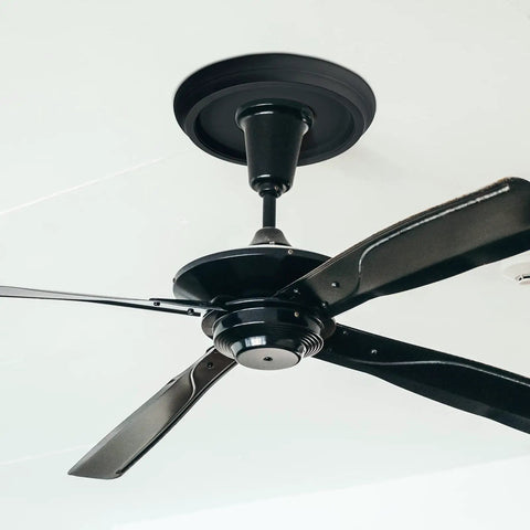 Two-Pack Black Ceiling Medallions for Light Fixtures, Ceiling Fans, and Chandeliers, 10 Inch Outer Diameter, installed with fan