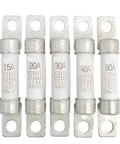 Badass One Piece EV High Voltage Fuse Rated At 500V With 40A Circuit Protection For Your Electric Ride Smooth Operator And Rock Hard Power Switching You Trust Every Single Day, five different rated fuses.