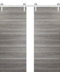 Must-Have Sliding Double Barn Doors With Hardware Kit 13-Foot Silver Rail Sturdy Hangers Modern Solid Panel Interior Doors