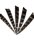 50 Pack Pro Grade Turkey Feather Fletching For Archery, Real Arrow Vanes In 3 4 5 Inch Sizes, Right Wing And Left Wing Shield Cut