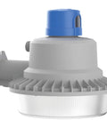 Beast Outdoor LED Barn Light For Dusk To Dawn Security With Adjustable Brightness And Color Temperature in Aluminum Gray
