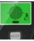 Badass Precision 5 In 1 Stud Finder And Wall Scanner green LCD display showing scanning results for nails and studs.