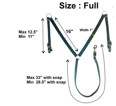 Dimensions of Nylon Padded Equestrian Browband Headstall With Reins And Breast Collar Set For Horse, Full Turquoise view