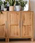 Two Tone Brushed Nickel And Gold Cabinet Pulls 7.38 Inch And 5 Inch Center To Center on wooden cabinet with plants