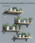 Badass Heavy Duty Shelf Brackets Wall Mount 90 Degree Corner Bracket Pair holding potted plants on wooden shelves.