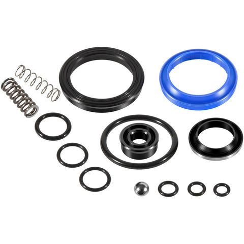 Seal Kit For Pallet Mule Wesley Pallet Jack AA5000 And AA5500 Hydraulic Pump Rebuild Repair Kit springs and seals displayed