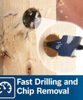 Bosch Daredevil spade drill bit, blue metal, installed in a wooden block