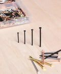 Pro Level Steel Nail Assortment Pack With 600 Pieces Across Four Different Sizes, showing assorted black steel nails arranged by size.