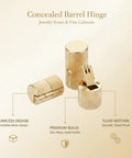Gold Zinc Alloy Concealed Barrel Hinge For Jewelry Boxes And Cabinets Hidden Hardware in detailed view