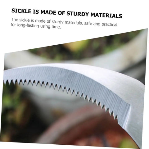 Close-up of sharp stainless blade on Two Piece Portable Grass Scythe And Weeding Tool Set For Garden, sturdy and ideal for home use.