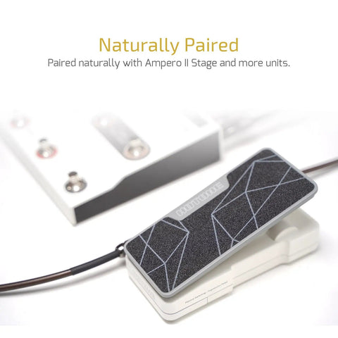 2 In 1 Passive Expression Footswitch Pedal For Ampero II with TRS cable, showing black textured surface and sleek design.
