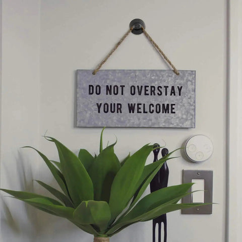 Wall decor with 'Do Not Overstay Your Welcome' sign, plant in foreground, using Double Headed Push Pins For Picture Hanging And Photo Decor.