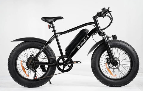 Powerful 1000W Fat Tire Electric Bike For Adults And Teens, 20 MPH Top Speed, 20x4 Fat Tires, Removable 10.4Ah Battery, USB Charging Port, 7-Speed Mountain And Commuter Ebike, Four Bikes In One For City, Trail, Snow And More. Black fat tire e-bike with rear rack and disc brakes