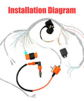 Installation diagram of Ignition Coil CDI Box Starter Solenoid Relay Voltage Regulator For Taotao Coolster 110cc 125cc Chinese ATVs.